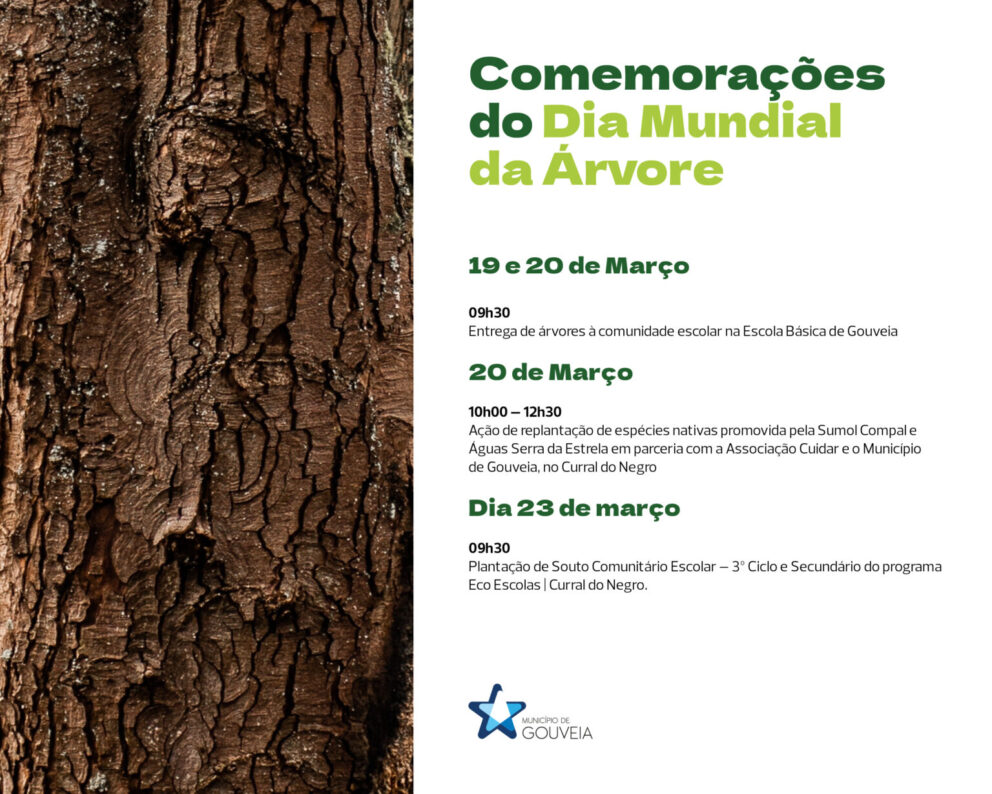 Dia Da Arvore 2026 Post 1536x1229