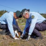 Dia Da Floresta E Da Arvore 33