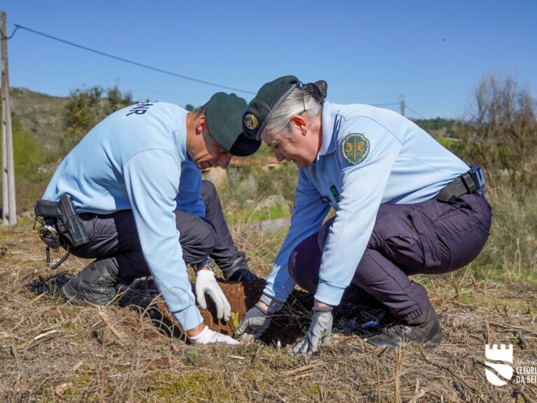 Dia Da Floresta E Da Arvore 33