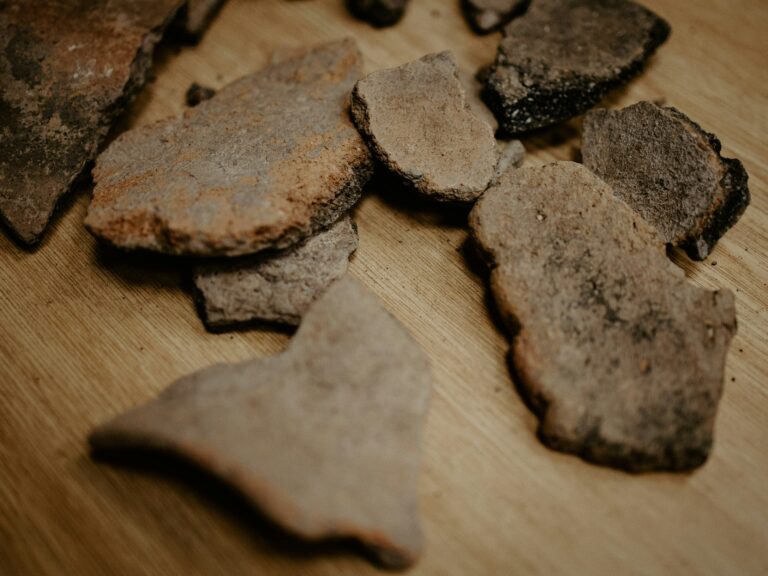 Arqueólogos catalogam achados em Foz Côa que mostram passado histórico da região