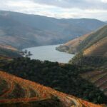 Exp Douro