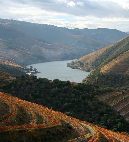 Exp Douro