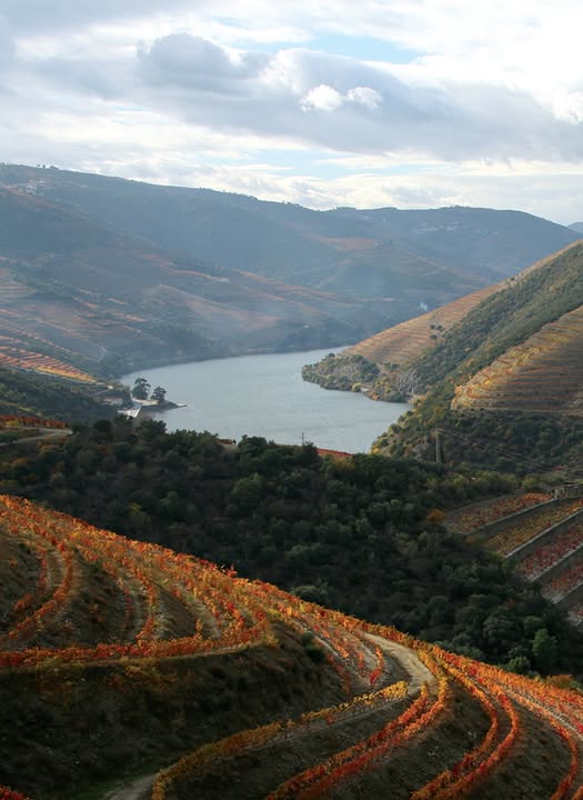 Exp Douro