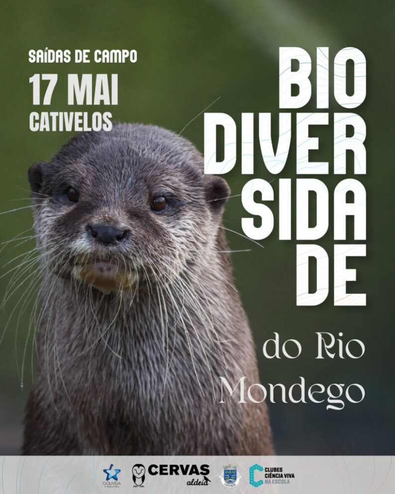 Bio Do Rio Mondego Post Final 819x1024