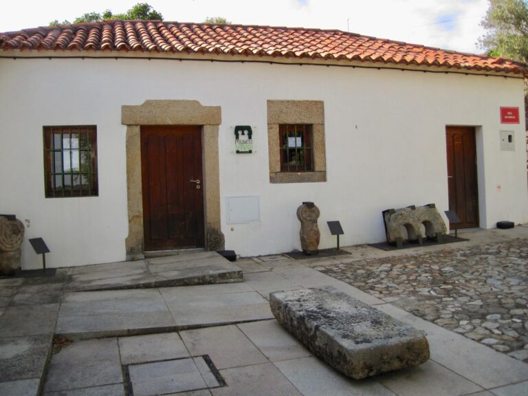 Museuvivo