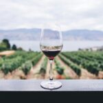 Vinho Douro