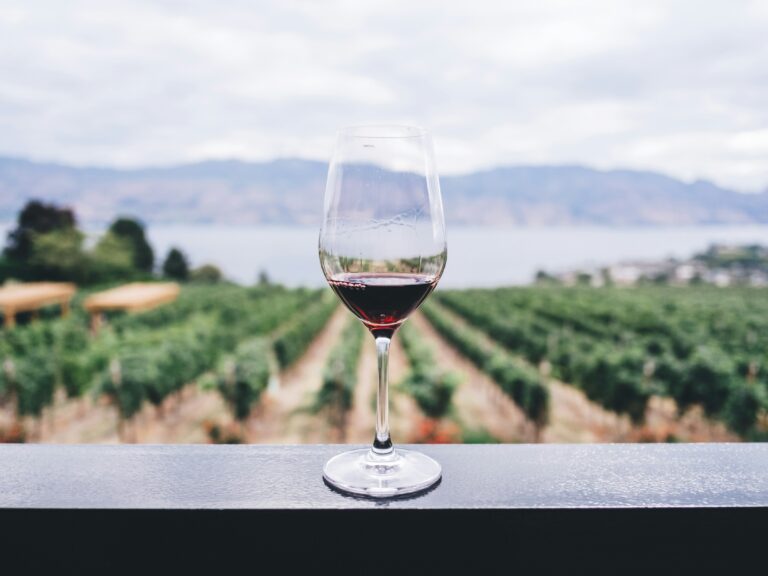 Vinho Douro