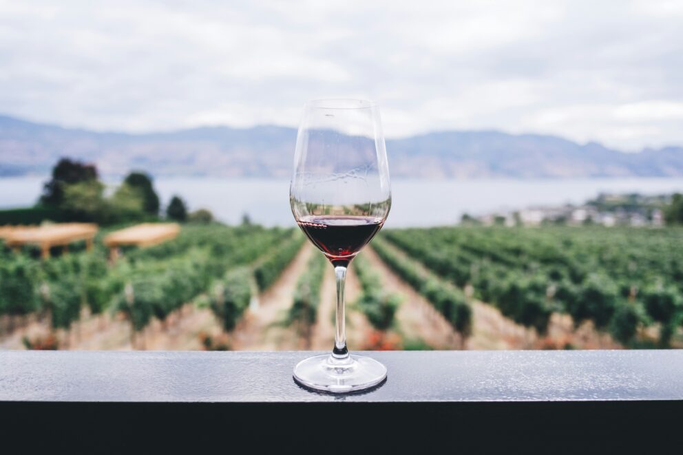 Vinho Douro