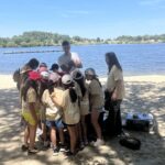 Alfaiates