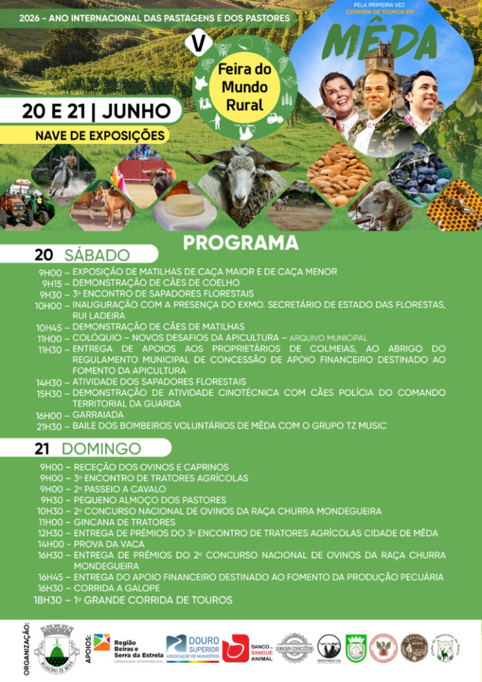 Cartaz F 728x1030