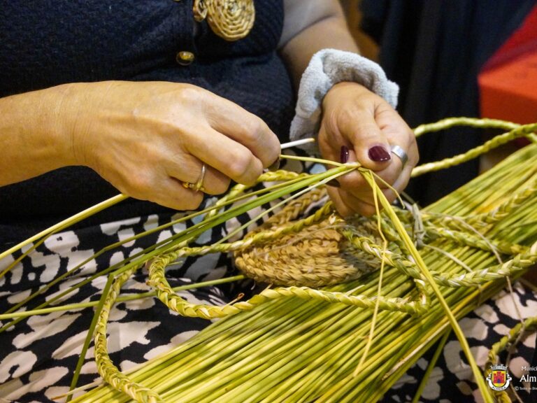 Feira Diversidade Almeida