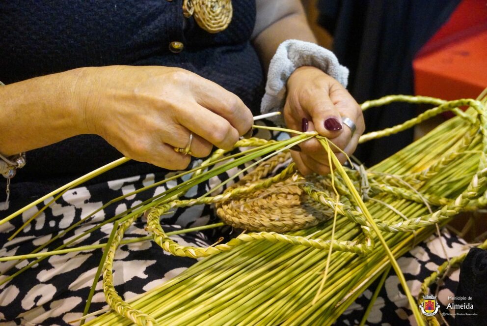 Feira Diversidade Almeida