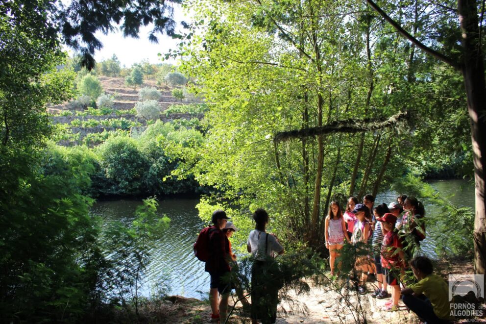 Biodiversity Fornos