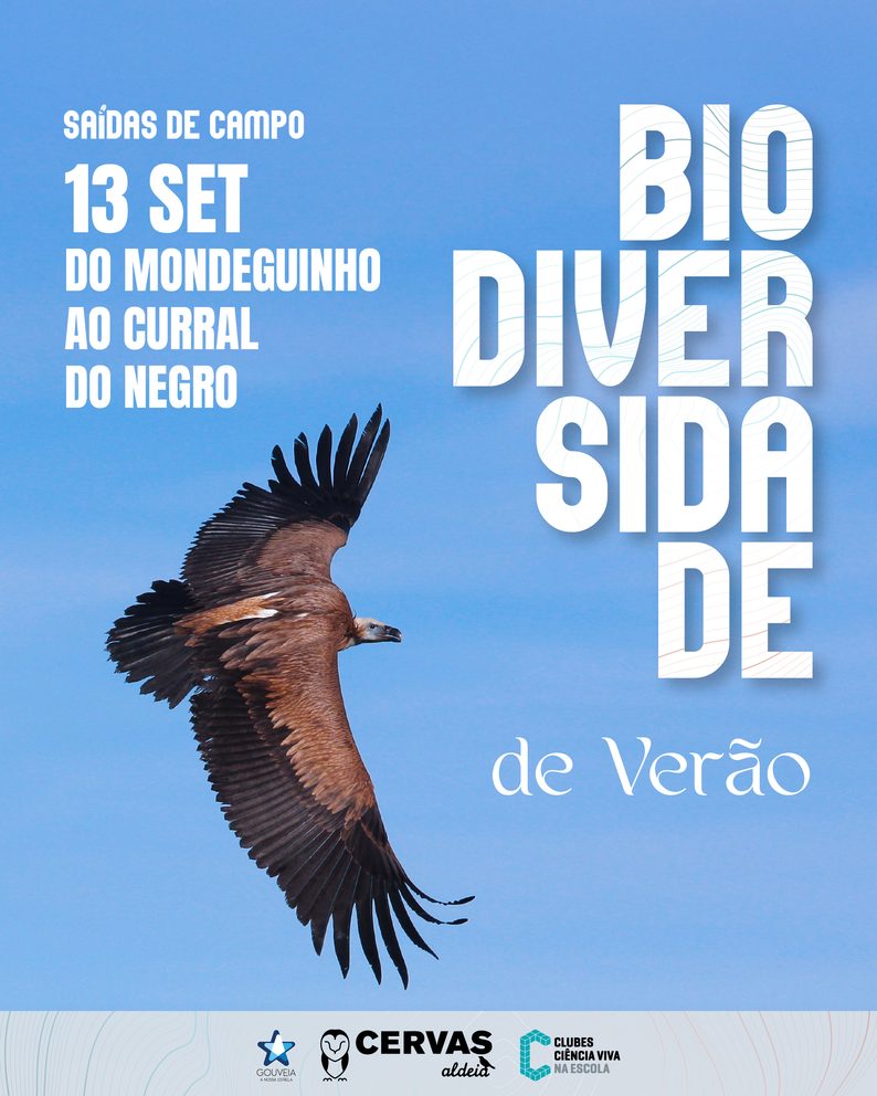 Biodiversidade De Verão Post V2