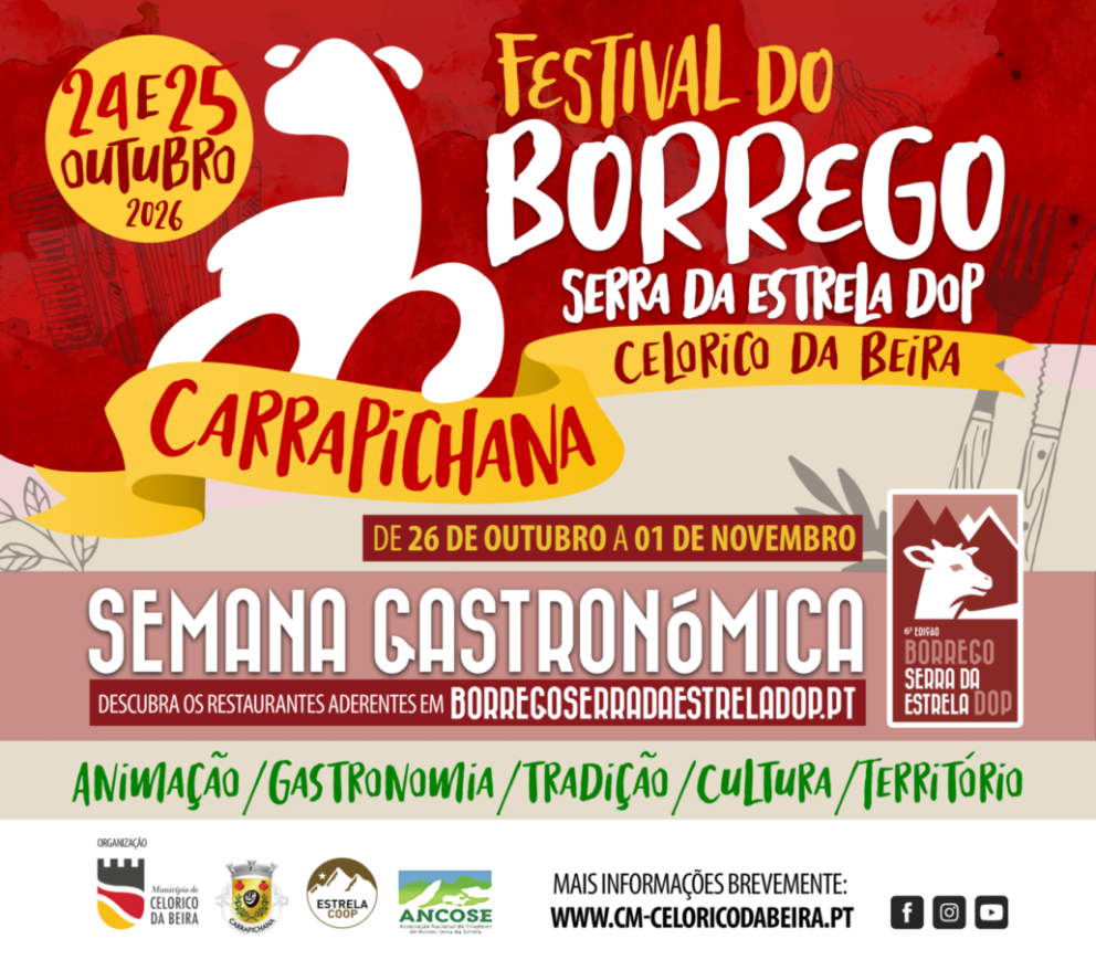 Festival Borrego 2026 1030x902