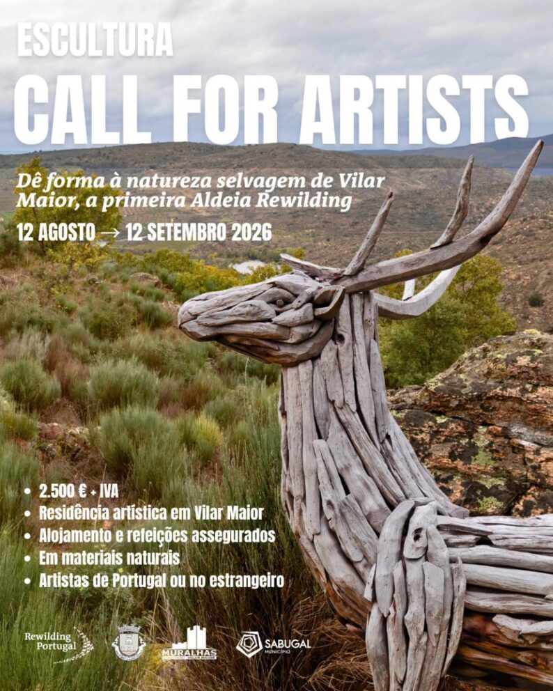 Valedocoa Artistas