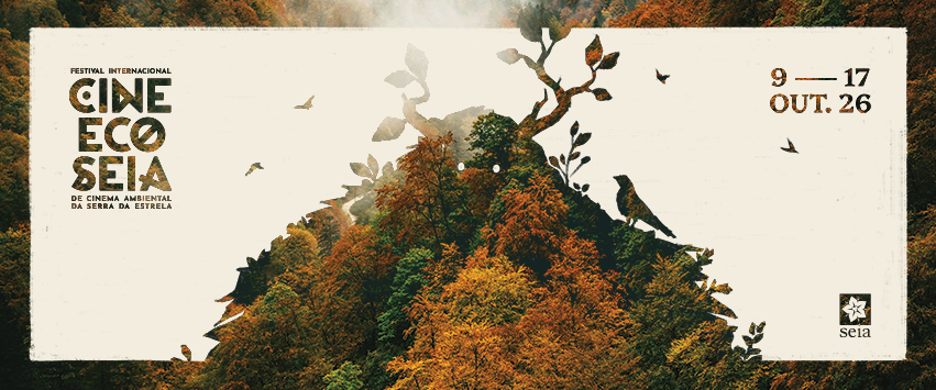 Banner Cineco
