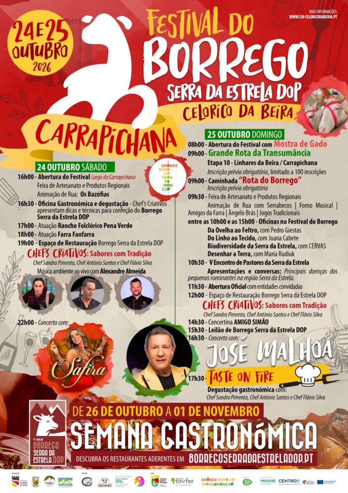 Festival Borrego