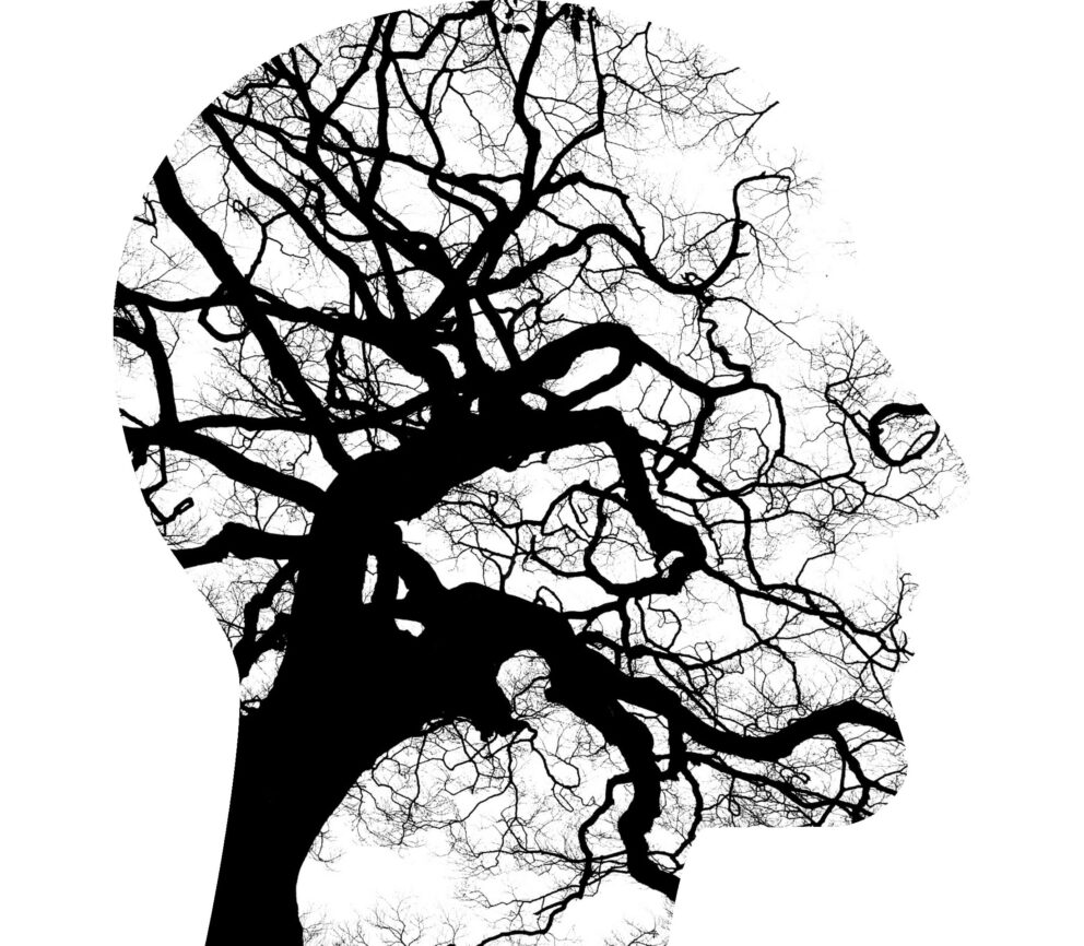 Tumisu Mental Health 2313430
